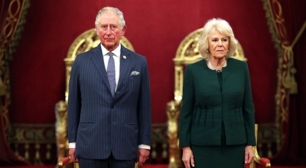 camila in princ charles plastične operacije