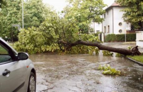 Veter podiral drevesa, odkrival strehe, voda v številnih kleteh