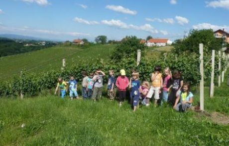 O tržnih izzivih vinogradništva