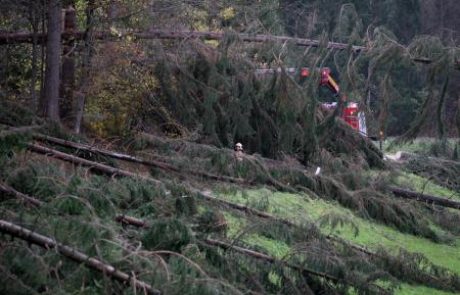 Veter ponekod že podira drevesa in električne drogove ter odkriva strehe