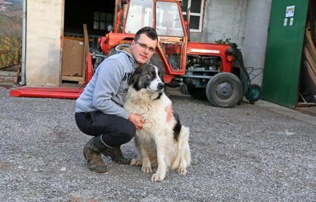 Prvi mladi varuhi so že pri svojih čredah