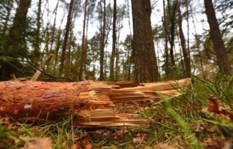 Elektro Maribor: zadnje okvare bomo odpravili še dopoldan