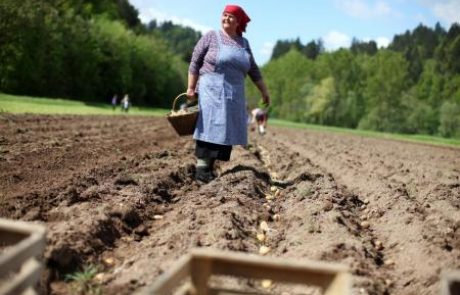 “Davščina” za kmete, gozdarje in čebelarje