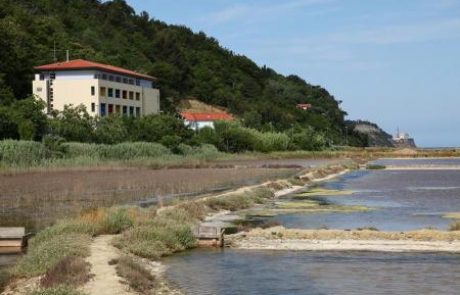 Premogovnik Velenje prodal Hotel Oleander v Strunjanu