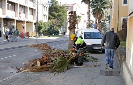 Burja zlomila palmo in pometala z zabojniki (foto in video)