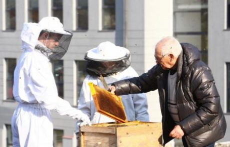 Čebelarji zaradi pozebe pričakujejo tretjino manj medu