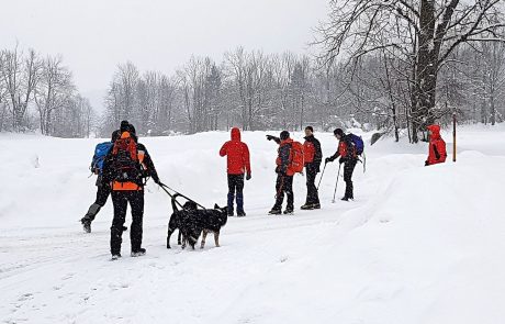 Po izginotju 81-letnice svojci