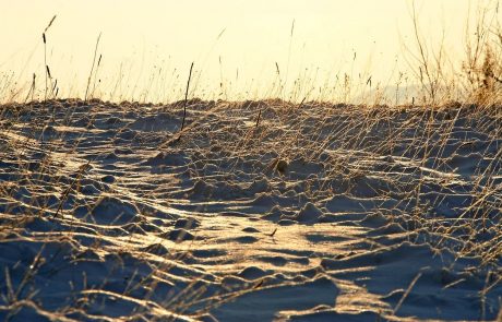 Letošnji primorski rekord – minus 21 stopinj Celzija