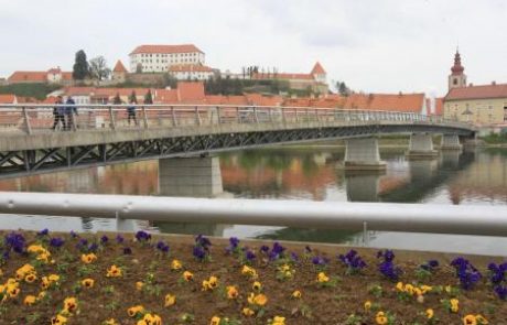 Prometna študija šele sredi maja