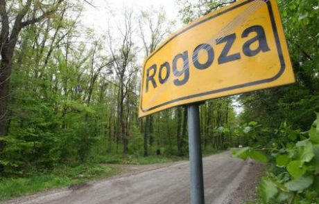 Civilna iniciativa proti krčenju Rogoškega gozda zaradi Magne