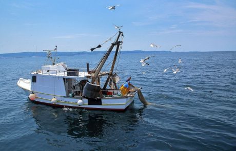Slovenski ribiči doslej prejeli 48 kazni iz Hrvaške