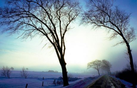 Lahko zapade tudi 25 cm in več snega