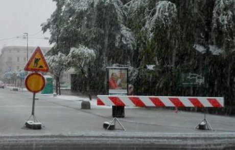 Preverite, katere ceste so neprevozne zaradi podrtih dreves!