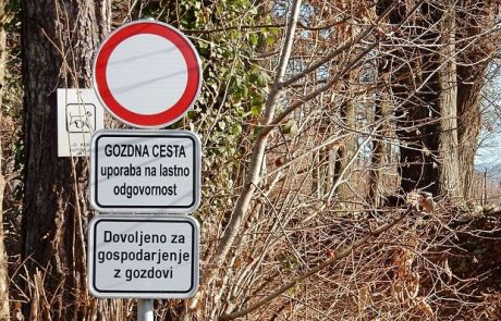 Po sončnem zahodu nič več v gozd?