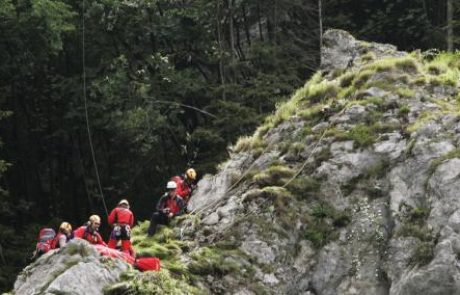 V dolini Tamar so našli mrtvo planinko