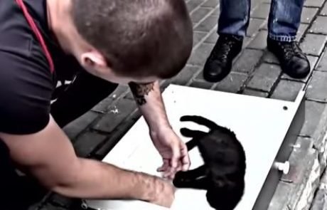 [VIDEO] Fant od fare: Pred gotovo smrtjo rešil nemočno muco