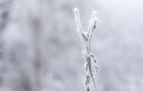 Pred nami zimsko idilični konec tedna z izredno nizkimi temperaturami