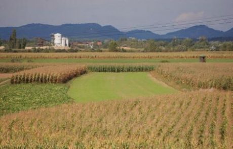 Postopki tečejo, kmetijska zbornica proti gradnji