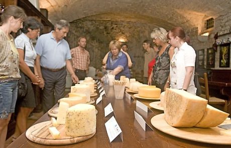 Več evropskega denarja za Kras in Brkine