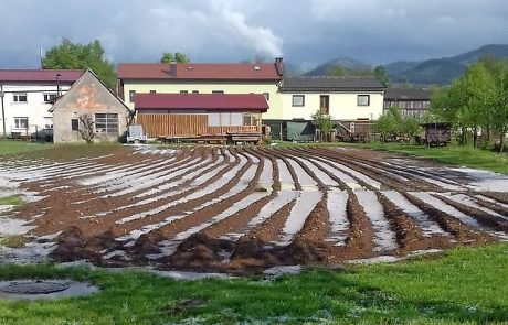 Sodra večje škode ni povzročila, pozeba pa je pobrala pol špargljev