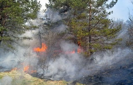 Na Hrvaškem divjajo številni požari