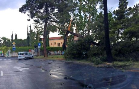 Veter je ponoči rušil drevje in odkrival strehe