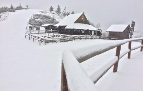 FOTO: Ste med tistimi, ki so se prebudili v pobeljeno jutro?