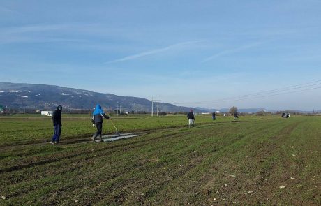 FOTO: Arheologi na zemljišču, kjer naj bi stala tovarna Magne