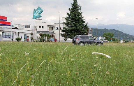 Lesnina bo spomladi že v Vrtojbi