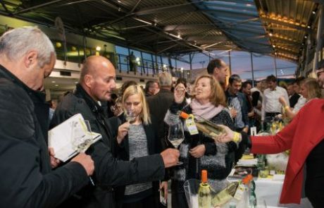 FOTO: Salon štajerskih mladih vin navdušil v Mariboru, na vrsti je prestolnica