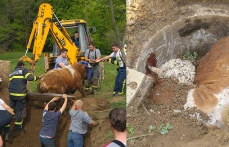 FOTO: Prostovoljni gasilci združili moči pri reševanju