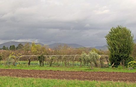 Od nedelje do torka močno deževje v zahodni polovici Slovenije