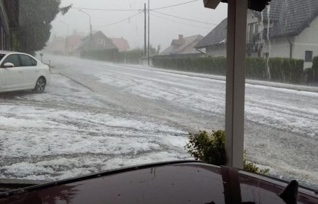 Vodja SMC: Glas ljudi s Pohorja bo v Ljubljani bolje slišan