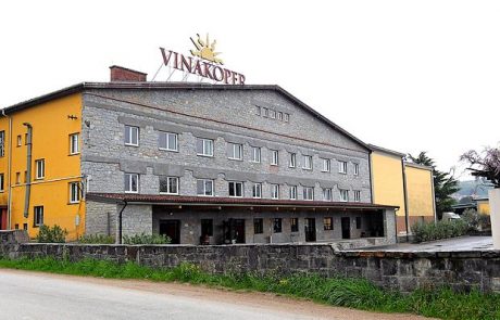 Vinar leta je Vinakoper