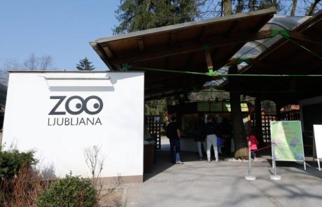 V živalskem vrtu Ljubljana imajo novega člana