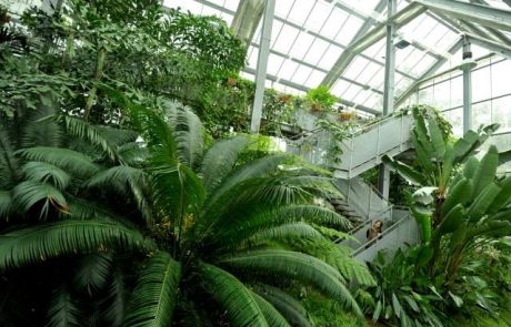 Skromen ljubljanski botanični vrt se je uvrstil med prve v Evropi, ki so prejeli akreditacijo
