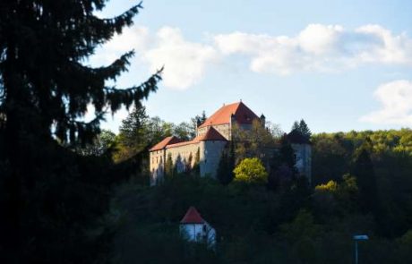 Vas zanima naložba v nepremičnino? Grad Mirna je naprodaj…