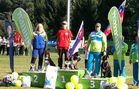Slovenski tekmovalci pri delu z reševalnimi psi ponovno v samem vrhu