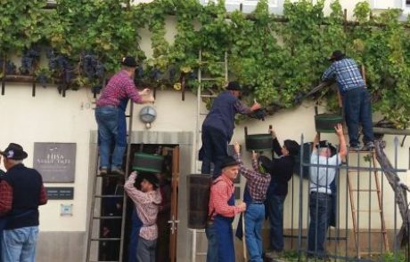 Maribor mesec in pol v znamenju vina, kulinarike, kulture in zabave