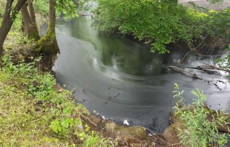 FOTO: Okoljska katastrofa na Vrhniki