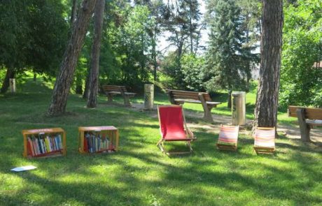 Sezona Knjižnice pod krošnjami se začenja: Brezplačno branje in listanje knjig pod krošnjami dreves letos v 15 krajih