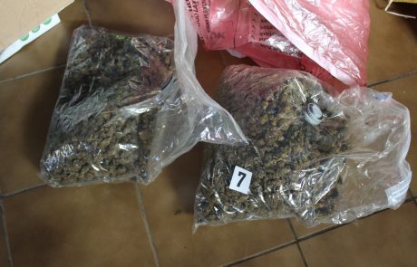 Pri 25-letnem Ptujčanu našli več kot tri kilograme prepovedane droge