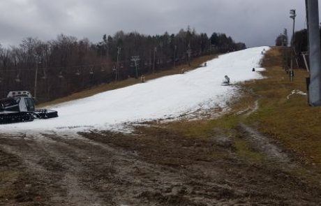 Zlata lisica pred selitvijo v Kranjsko Goro