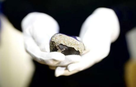 Našli še en kos meteorita Novo mesto