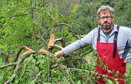 Medved pustil le iztrebke s koščicami