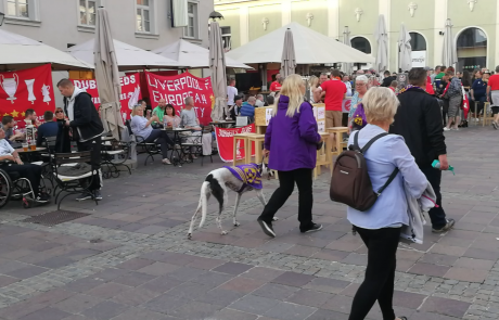 FOTO in VIDEO: Navijači Livepoola v Mariboru glasno opozarjajo nase