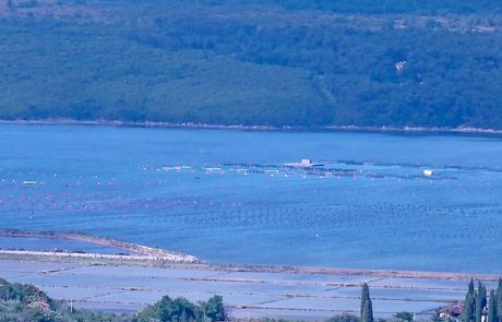 Hrvaški državljan v Piranskem zalivu poskušal širiti školjčišče