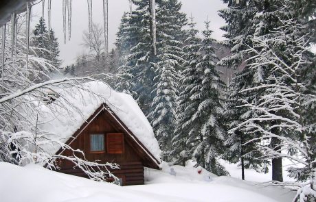 Poslavlja se eden najtoplejših januarjev, prihaja sneg