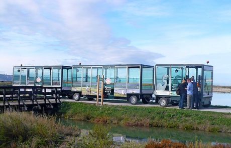 V Sečoveljskih solinah bodo vozili le še na elektriko