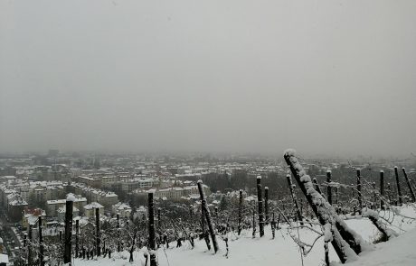 Danes bo čez dan pretežno oblačno, meja sneženja se bo spustila